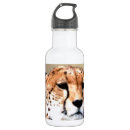 Search for cheetah water bottles Wildlife