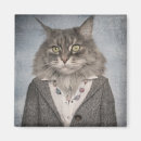 Search for anthropomorphics magnets Kitten