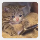 Search for internet memes stickers Reddit