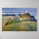 Search for island lighthouse posters Nautical