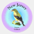 Search for new jersey stickers Goldfinch