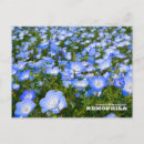 Search for baby postcards Flower
