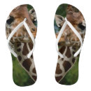 Search for photography flipflops Beautiful