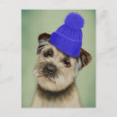 Search for border terriers postcards Animals