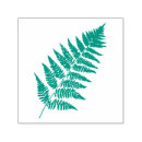 Search for fern craft supplies Foliage