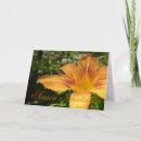 Search for lying cards Photography