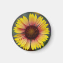 Search for daisy picture magnets Yellow