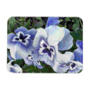 Search for pansy magnets Flowers
