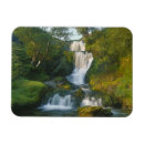 Search for isle magnets Cool