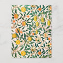 Search for pomegranate postcards Design