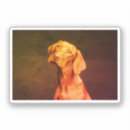 Search for hungarian vizsla stickers Magyar