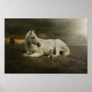 Search for cheval posters Animal