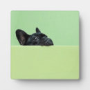 Search for wall plaques Photography