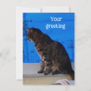 Search for 4x6 cards Sky