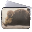 Search for otter laptop cases Animals in the wild