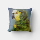 Search for budgerigar Blue