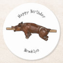 Search for pig coasters Hog