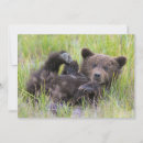 Search for clark lake postcards Animals in the wild