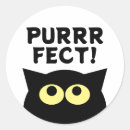 Search for black humour stickers Kitten