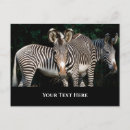 Search for grevy Stripes