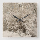Search for frozen clocks White