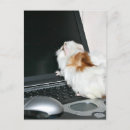 Search for computer mouse postcards Photograph