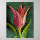 Search for orange tulip posters Colorful