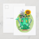 Search for cottage garden postcards Sunflower
