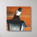 Search for birdwatcher canvas prints Nature