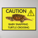 Search for conservation posters Save