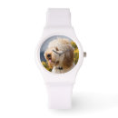 Search for alert watches Curiosity