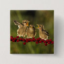 Search for beak square badges Outdoors
