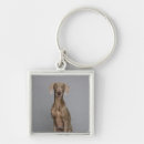 Search for weimaraner key rings Studio shot