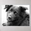 Search for mutt posters Animals