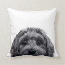 Search for labradoodle cushions Labrador