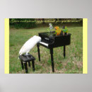 Search for parrots posters Birds