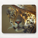 Search for wild one mouse mats Outdoors