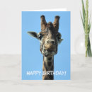 Search for mammals cards Cute