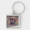 Search for labrador key rings Animal