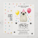 Search for pug invitations Golden retriever