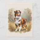 Search for merle postcards Australian shepherd
