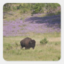 Search for south american stickers Nature