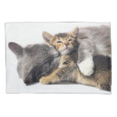 Search for baby animals pillowcases Tabby kitten