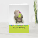 Search for pig birthday cards Sweet