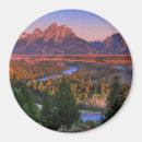 Search for large snake magnets Landscape