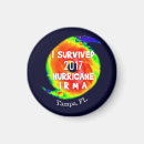 Search for surviving magnets Support