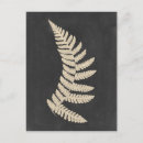 Search for fern leaf postcards Ferns