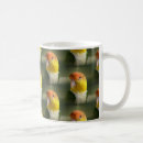 Search for caique mugs Parrot