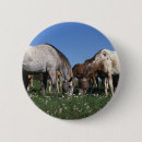 Search for grazing badges Horse