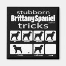 Search for brittanys magnets Brittany spaniel